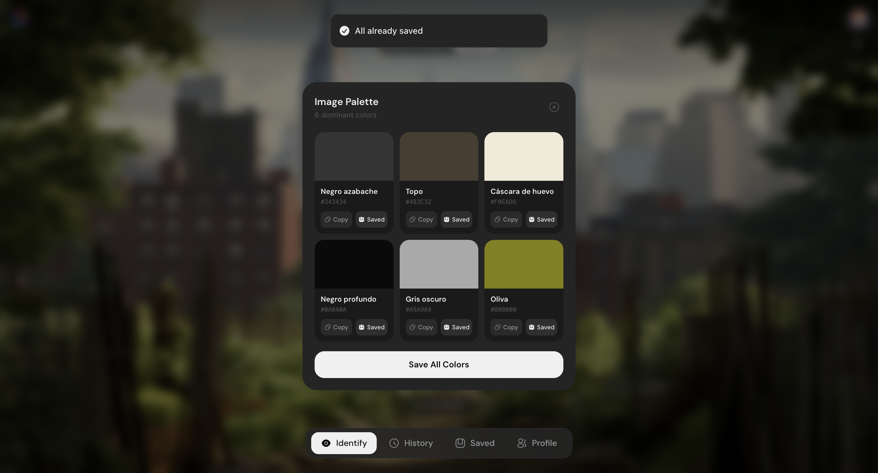 Image Palette Extraction